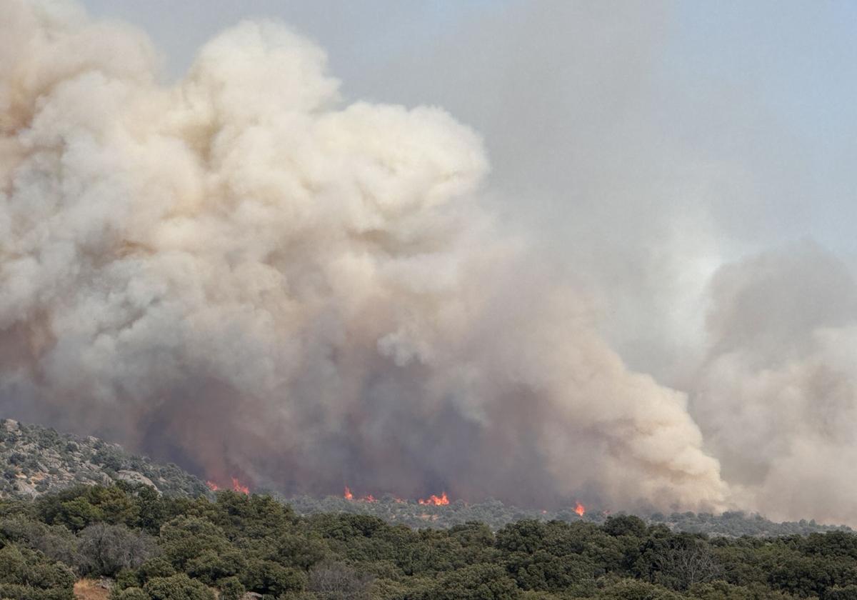 Incendio registrado el viernes en Navaluenga.