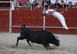 Las imágenes del concurso de cortes en Cigales