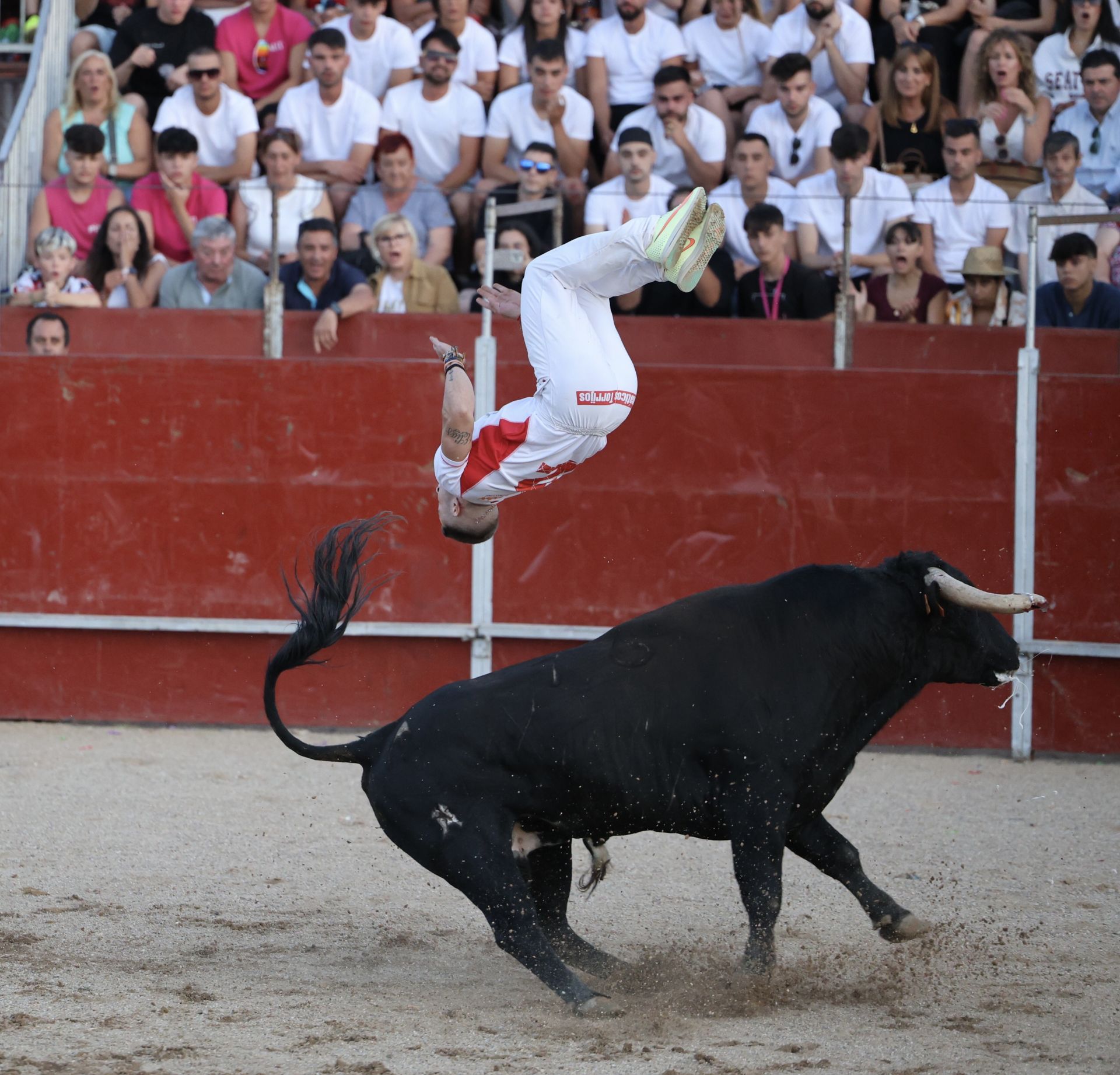 Las imágenes del concurso de cortes en Cigales