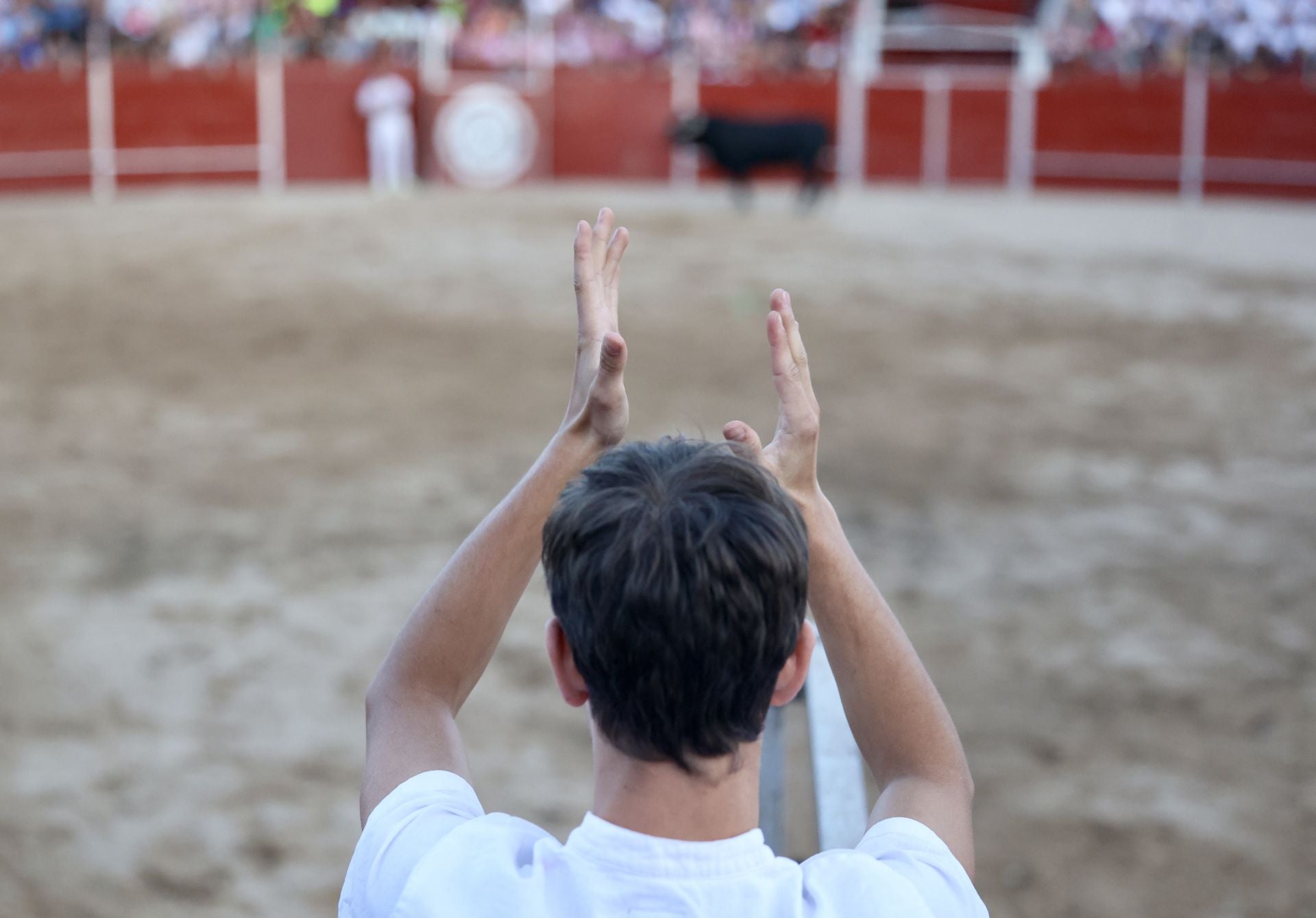 Las imágenes del concurso de cortes en Cigales