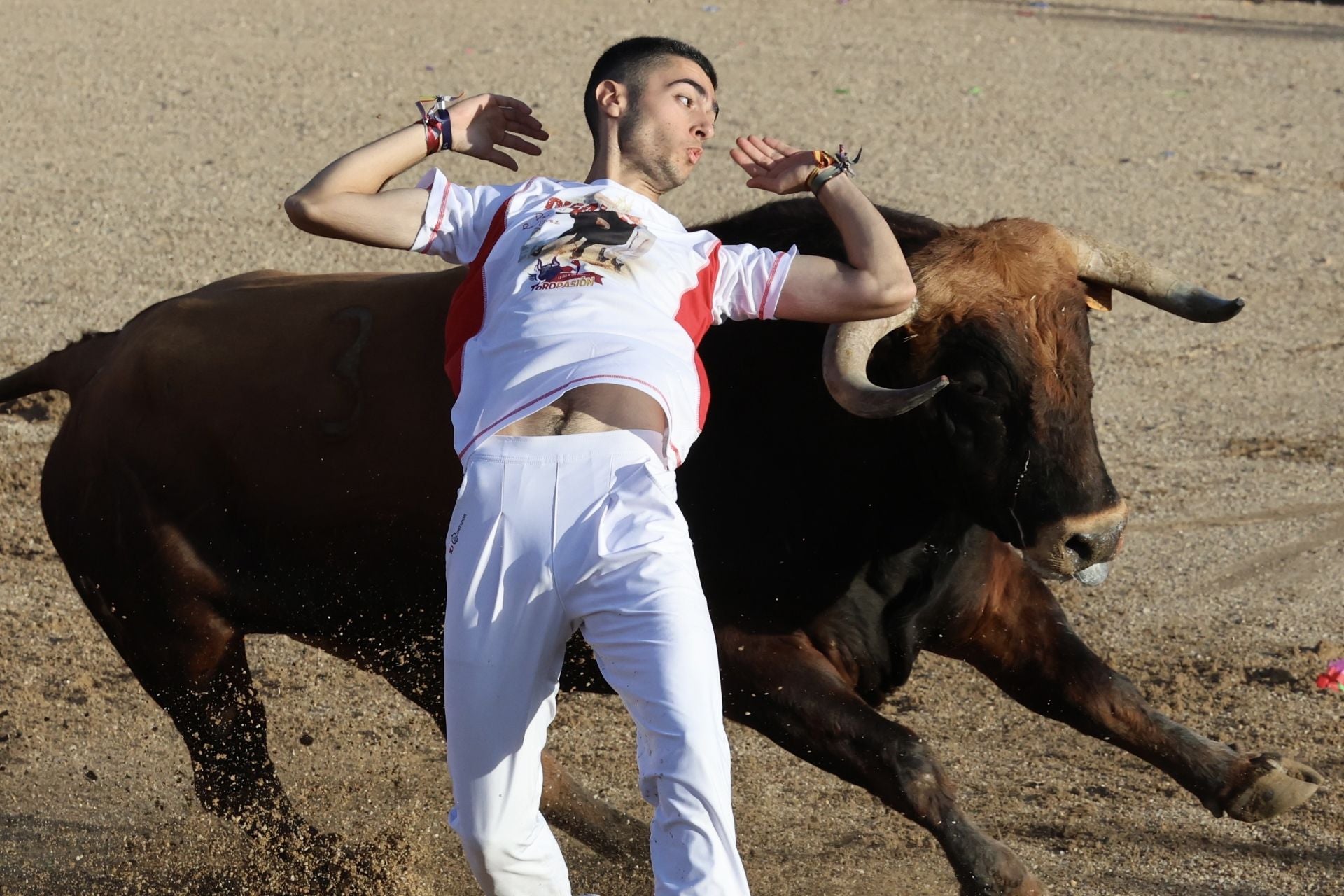 Las imágenes del concurso de cortes en Cigales