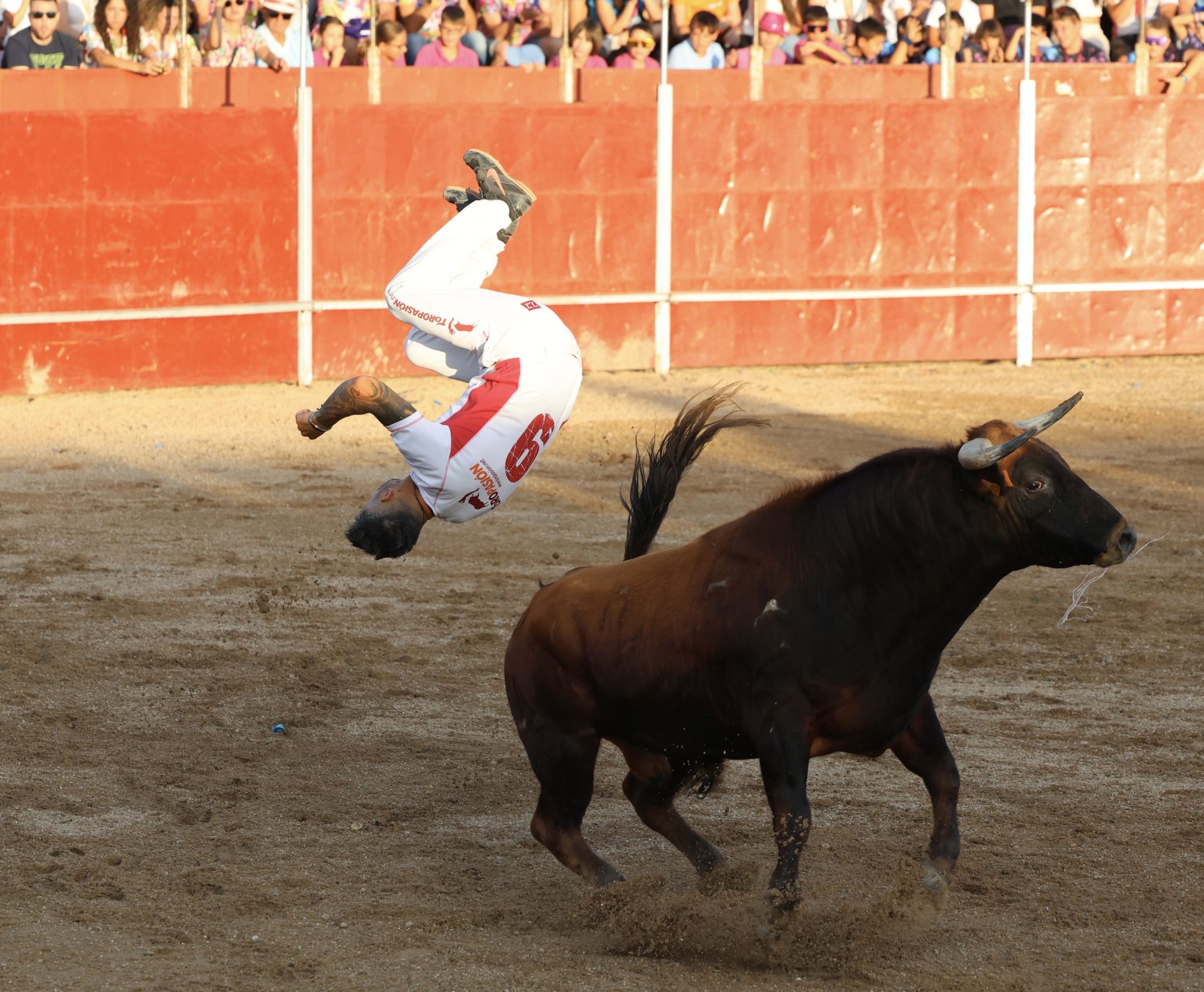 Las imágenes del concurso de cortes en Cigales