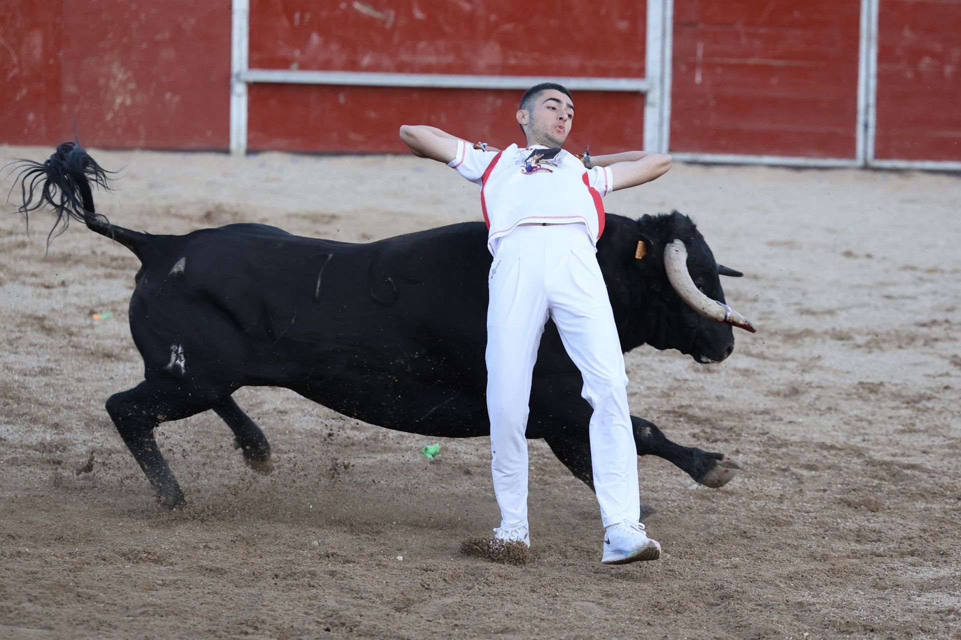 Las imágenes del concurso de cortes en Cigales