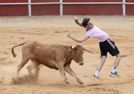 Encierro en las fiestas de Matapozuelos