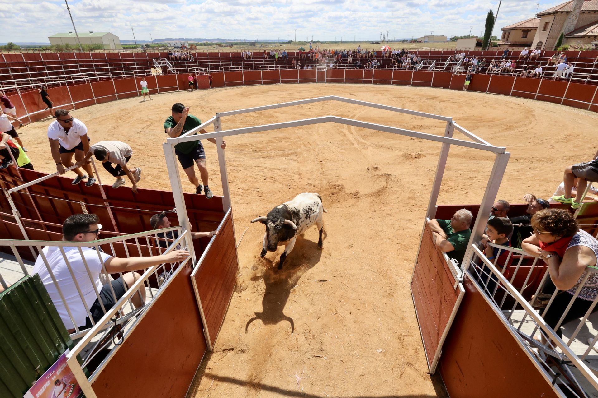 Encierro en las fiestas de Matapozuelos