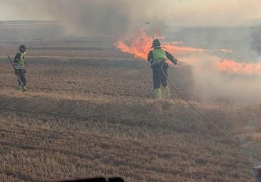 Un incendio que llegó a estar en nivel uno arrasa cultivos de cereal en Montealegre de Campos
