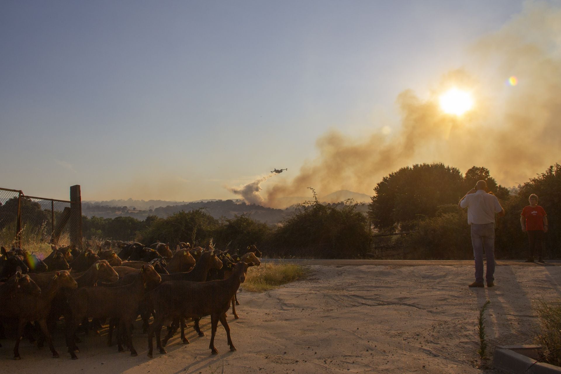 Imágenes del incendio de Navaluenga y los trabajos de extinción