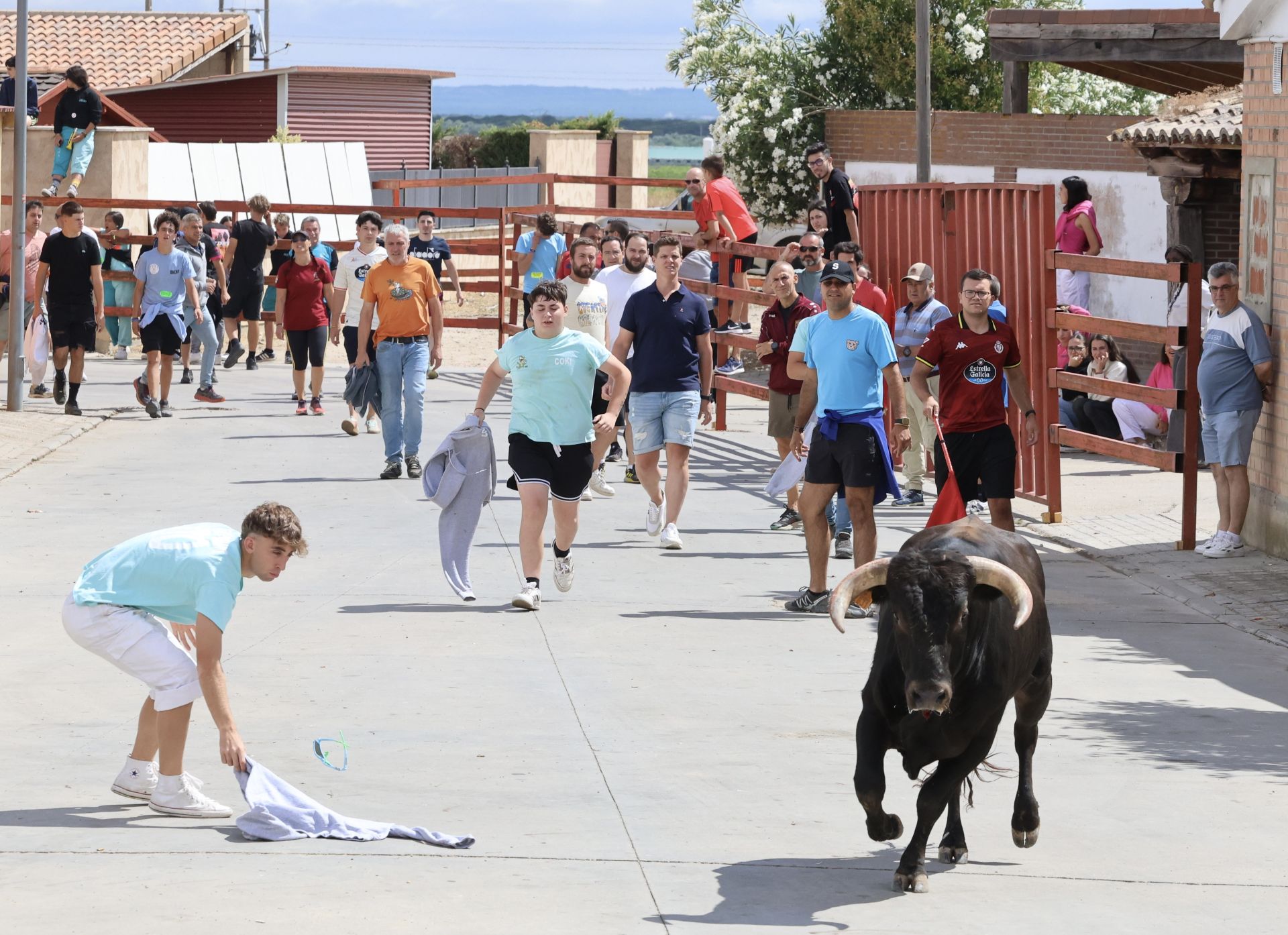 Encierro del domingo en las fiestas de Matapozuelos