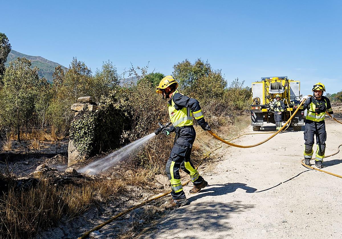 Efectivos luchan contra las llamas del incendio forestal declarado en el término municipal de Navaluenga (Ávila).