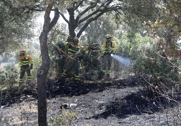 Dos fuertes incendios ponen durante horas en alerta a la provincia de Palencia