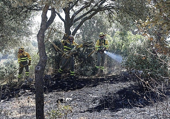 Trabajos de extinción del inciendio de Paredes de Monte, en la zona del Monte el Viejo.