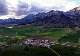 Panorámica de Cubillo de Castrejón.