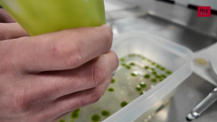 Guisantes de temporada con falsa yema de setas por el chef Víctor Sanz