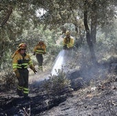 Incendio forestal en Paredes de Monte.