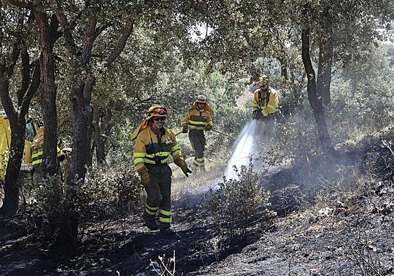 Incendio forestal en Paredes de Monte.