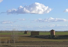 Palomares en Tierra de Campos.