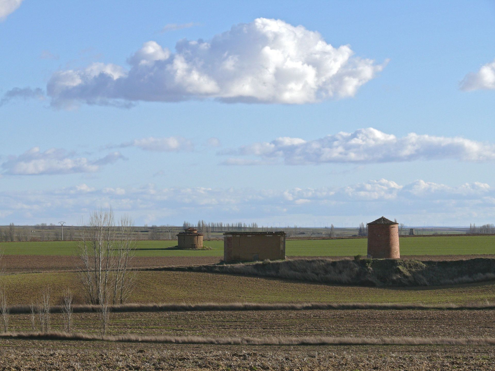 Palomares en Tierra de Campos.