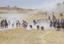 Caballistas durante uno de los encierros de 2024.