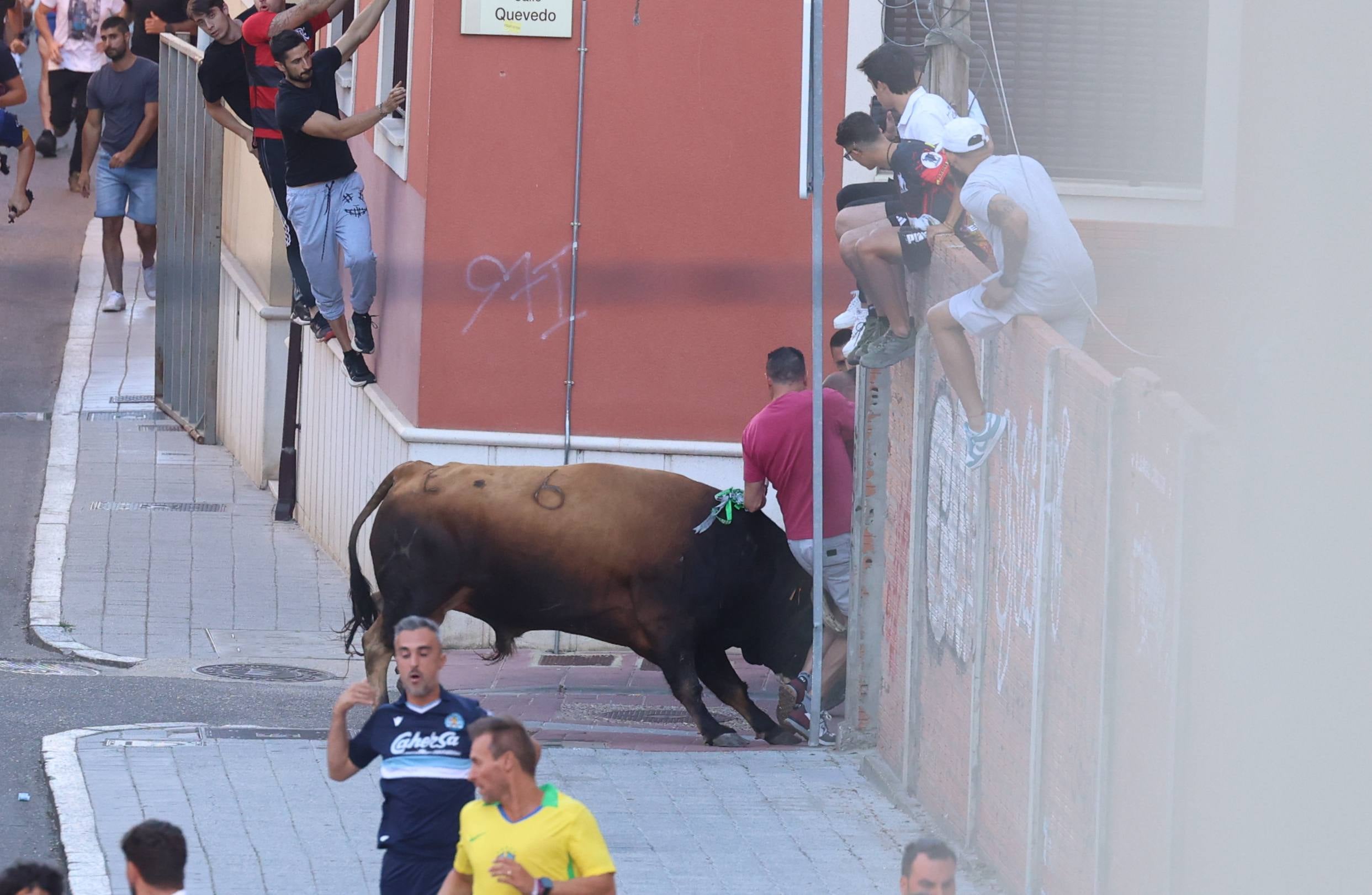 El toro del Fogato de Tudela, en imágenes
