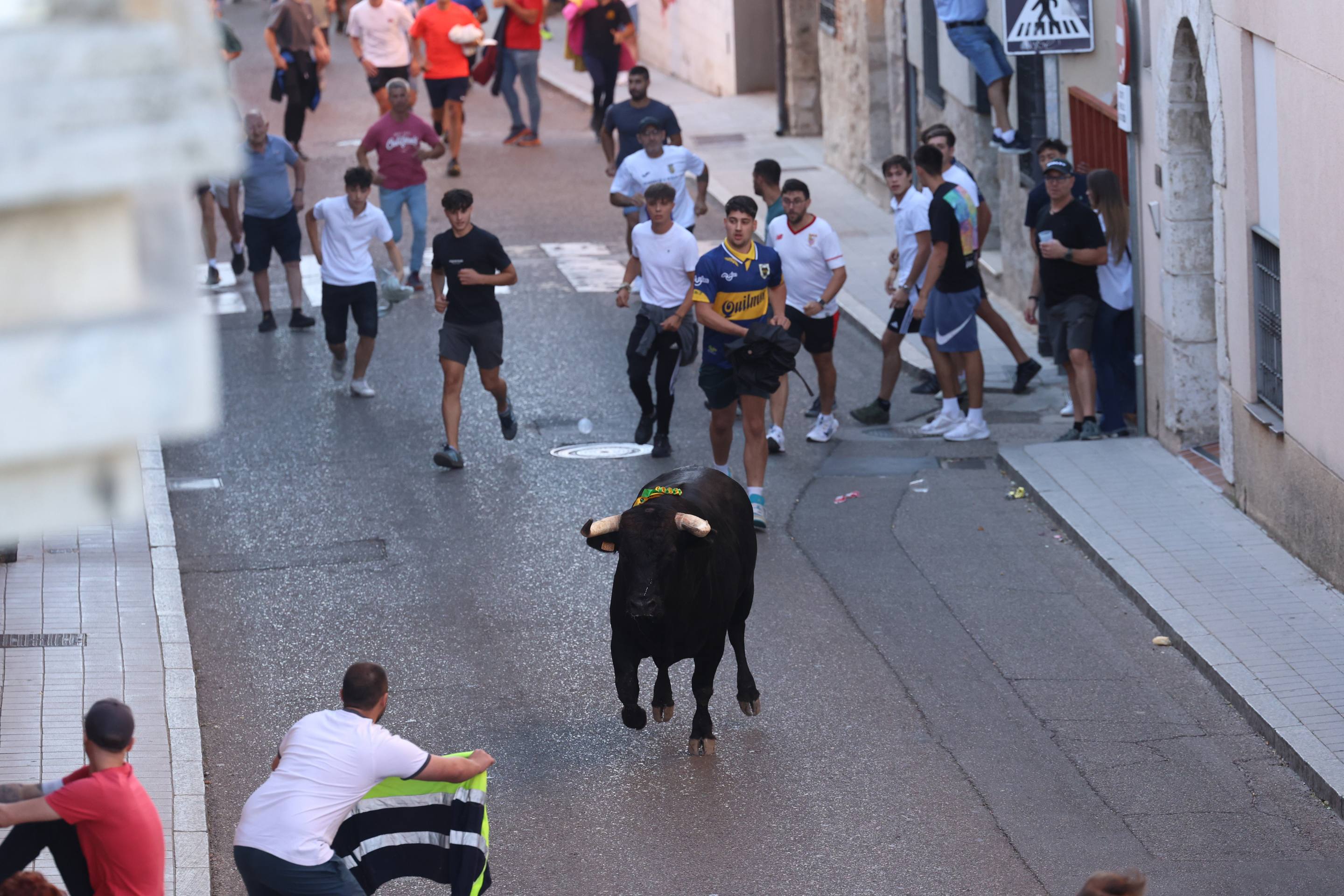 El toro del Fogato de Tudela, en imágenes