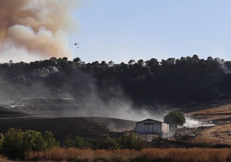 Tierras de labor y pinos donde se ha originado el incendio, en el pago de Zamarón
