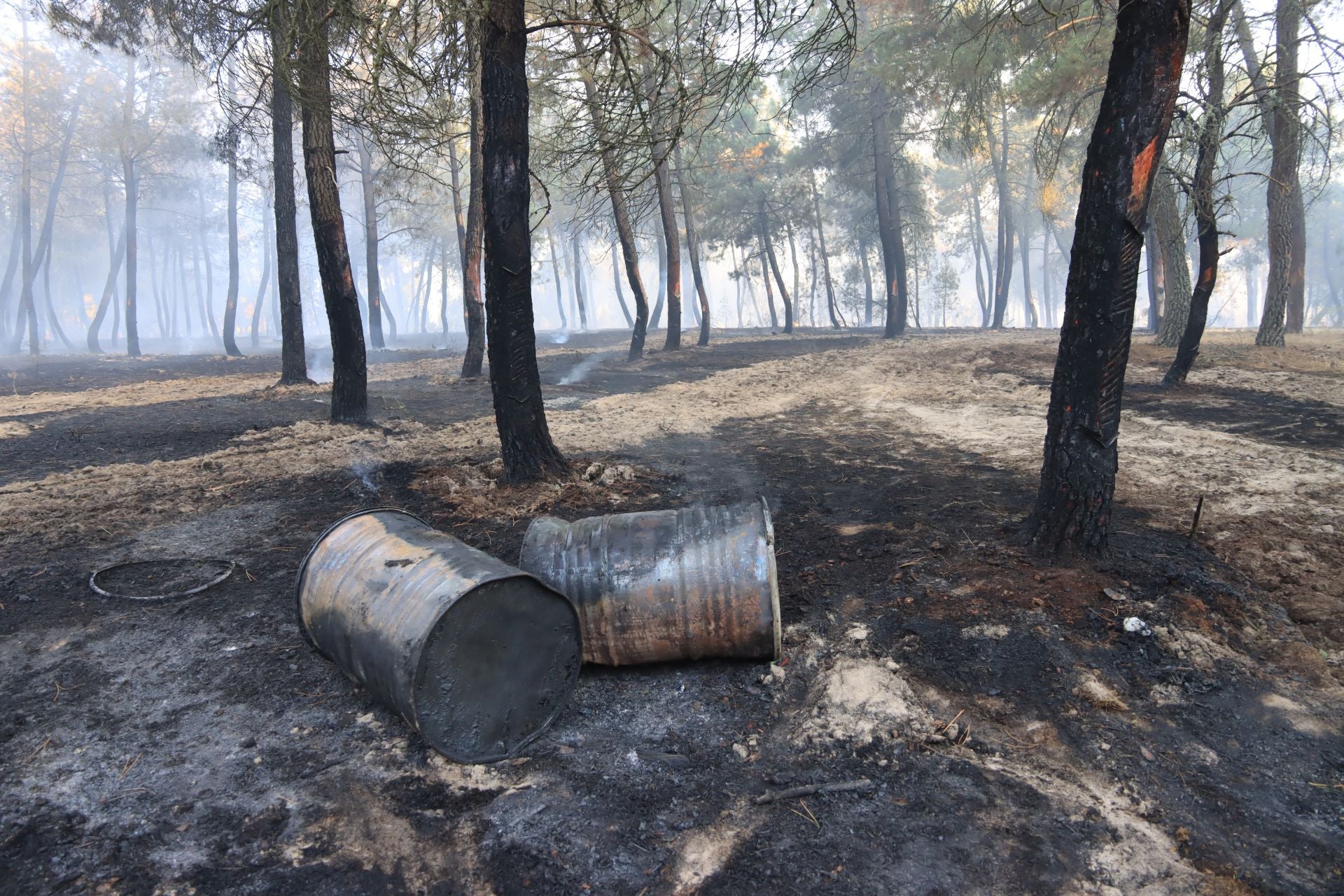 Fotos del incendio en un pinar de Coca