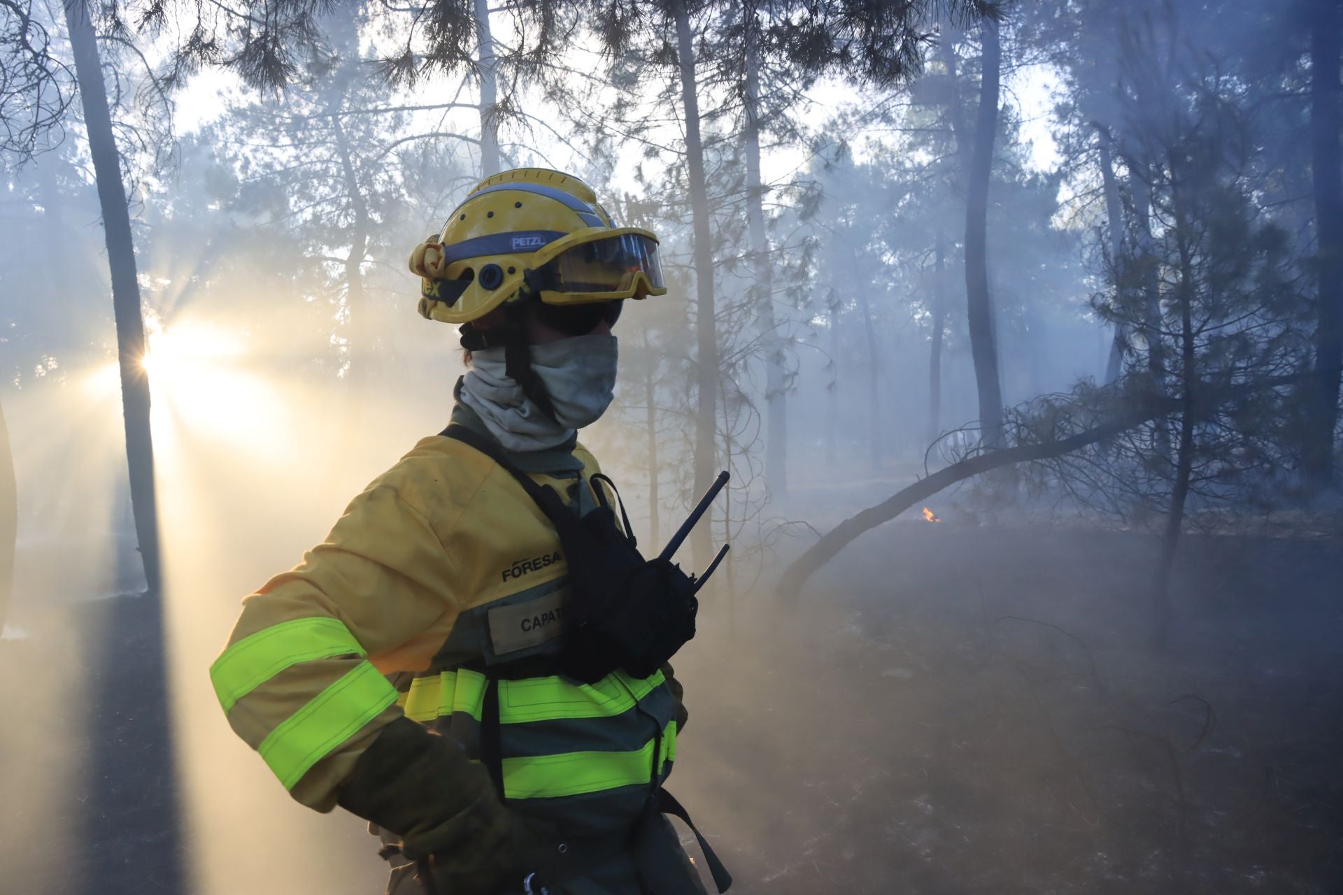 Fotos del incendio en un pinar de Coca