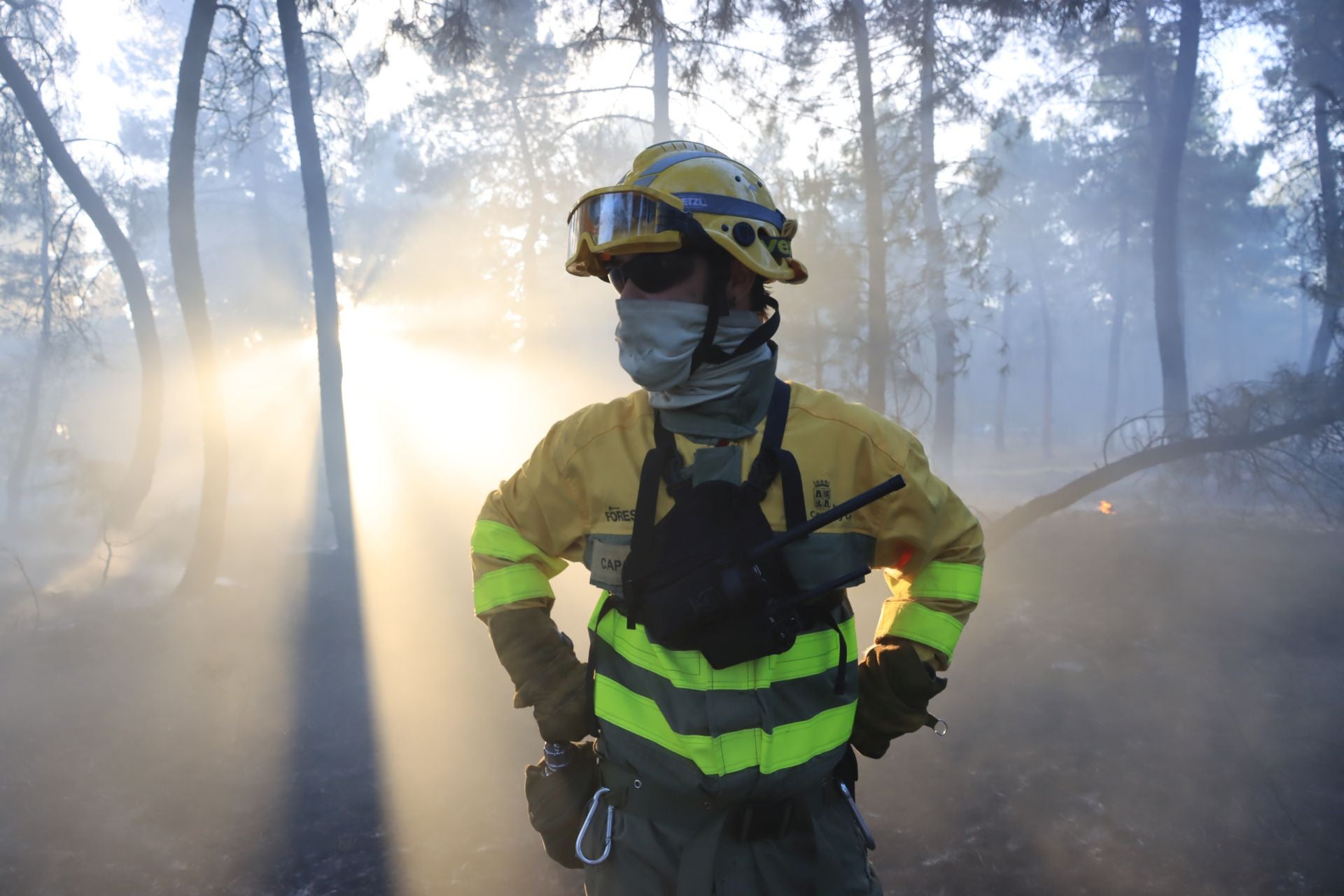 Fotos del incendio en un pinar de Coca
