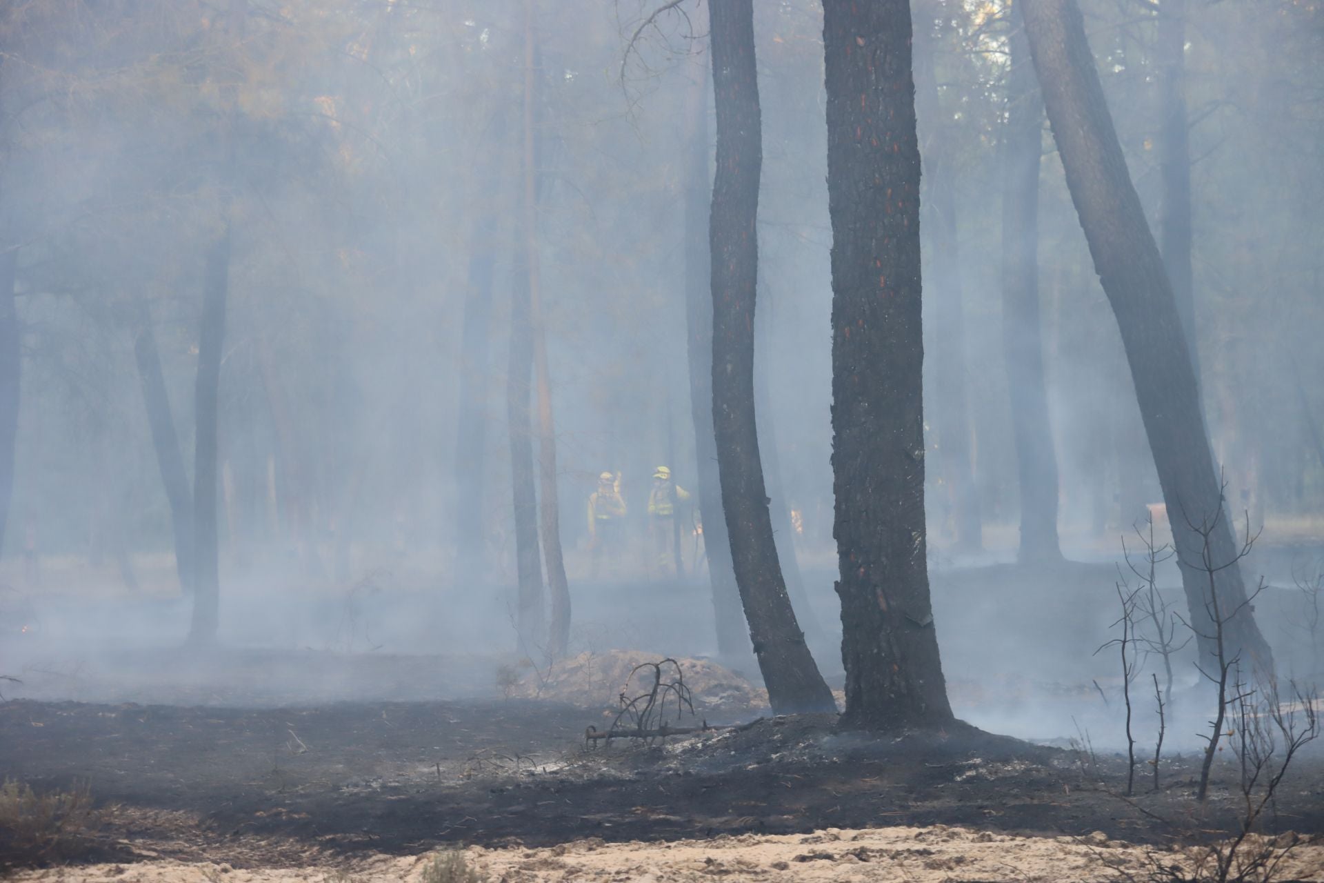 Fotos del incendio en un pinar de Coca