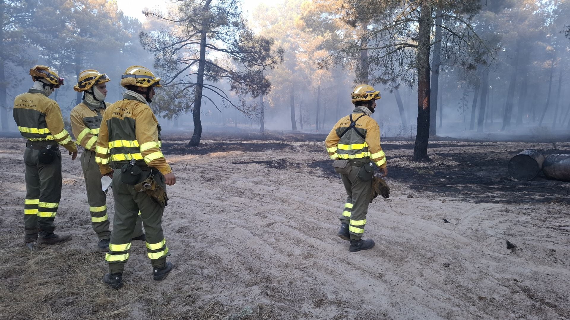 Fotos del incendio en un pinar de Coca