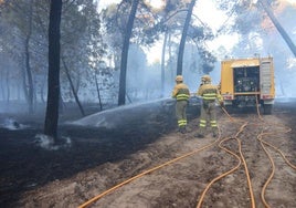 Fotos del incendio en un pinar de Coca