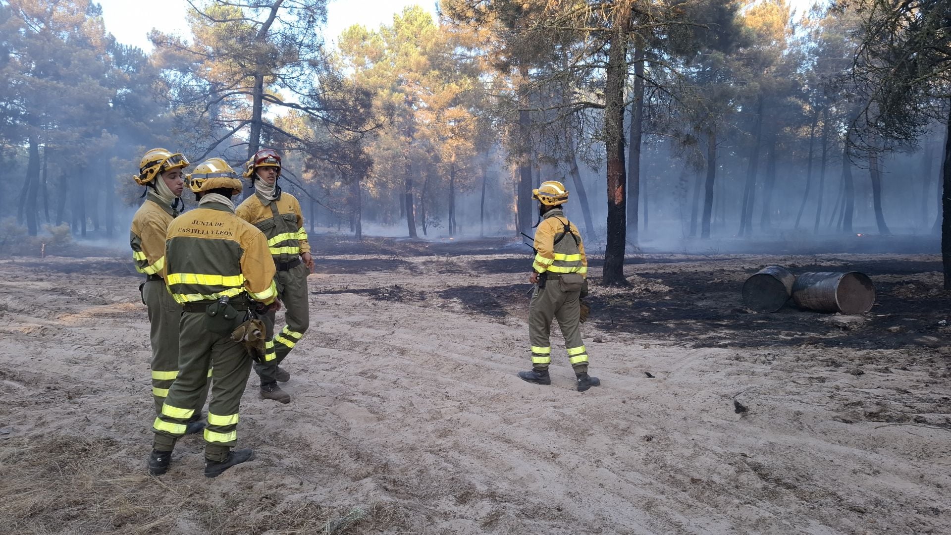 Fotos del incendio en un pinar de Coca