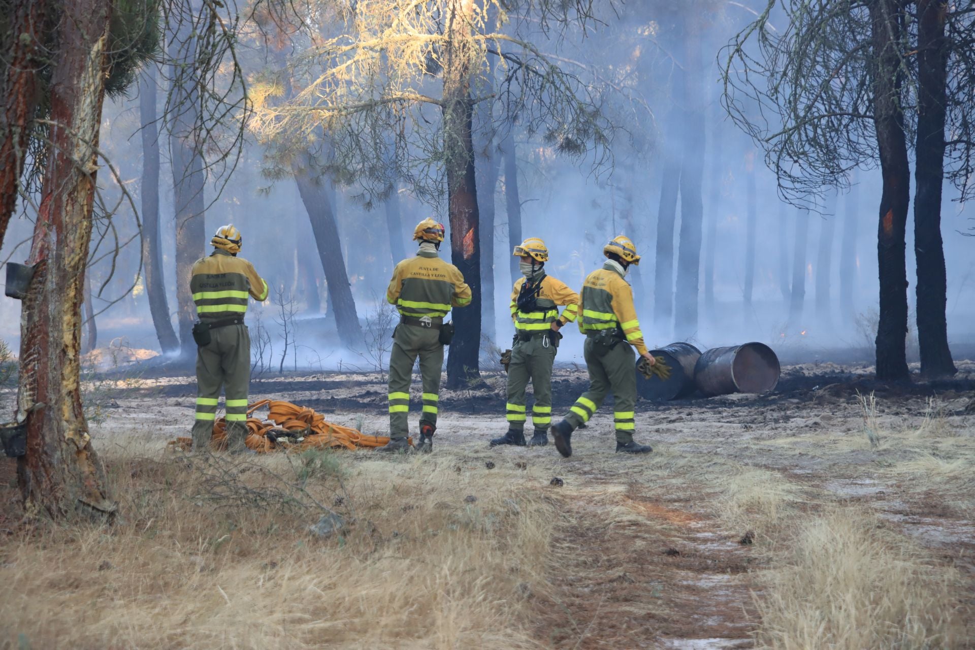 Fotos del incendio en un pinar de Coca