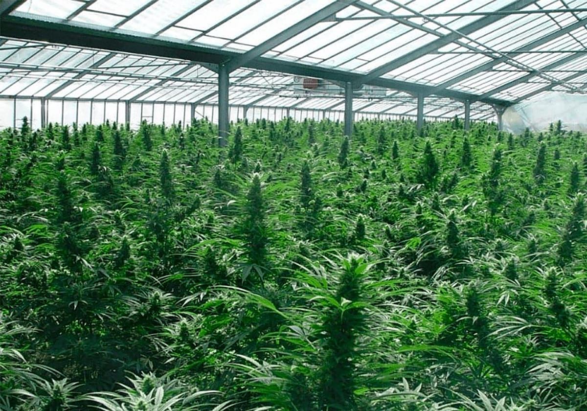 Instalaciones de Ondara en la localidad soriana de Garray.