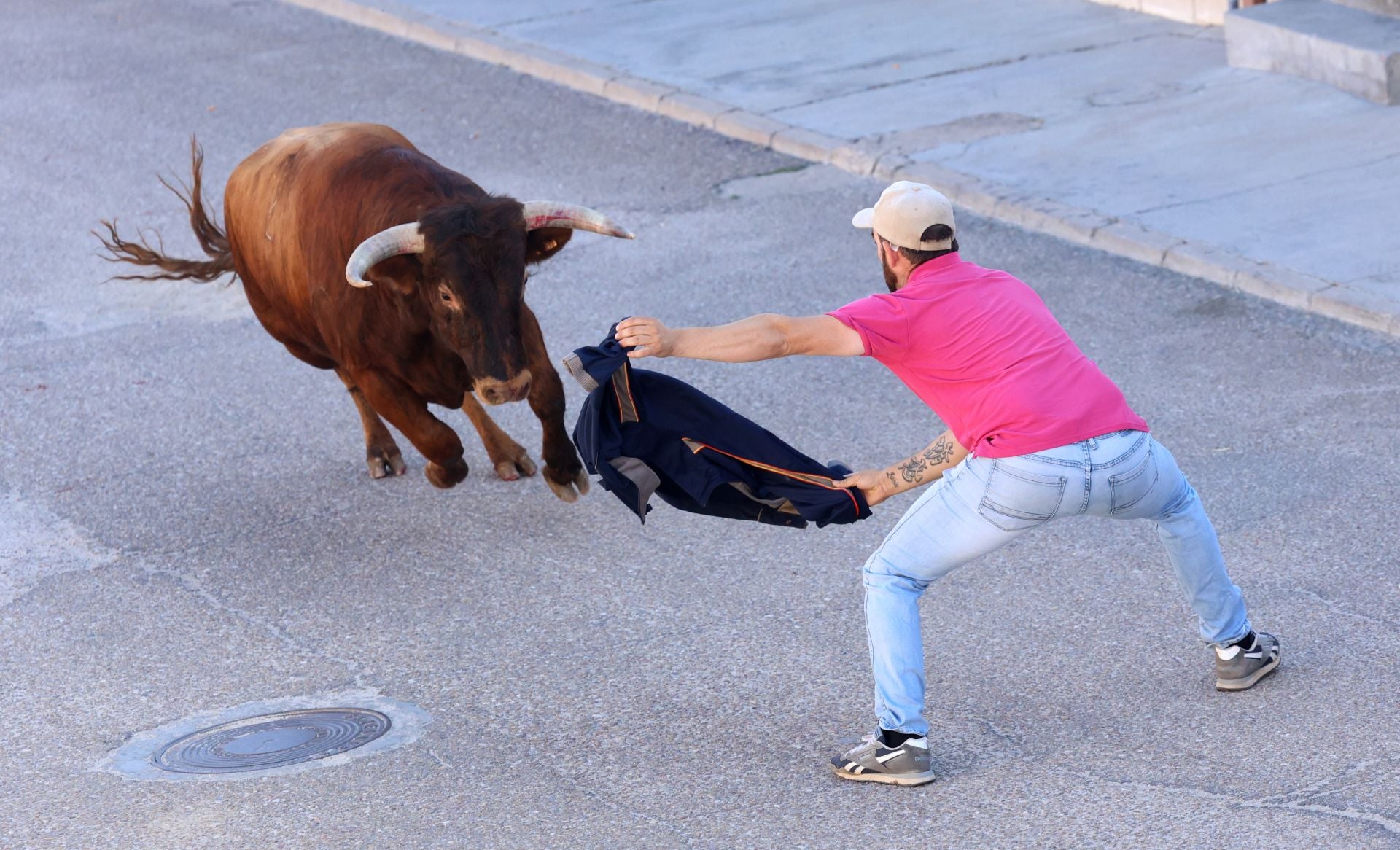 La suelta de toros de Carpio, en imágenes