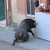 Carpio celebra su Toro de Santiago, que se salda sin incidentes