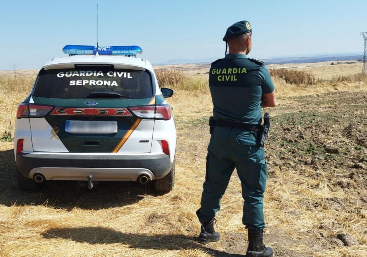 Un agente del Seprona de la Guardia Civil.