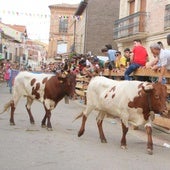 Las fiestas de Torquemada contarán con seis encierros de cuatro ganaderías