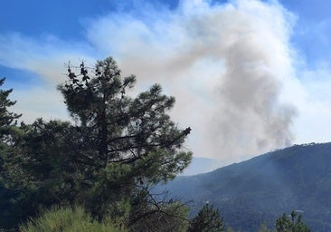 La evolución del fuego de Mombeltrán «no es halagüeña», con focos secundarios y 500 hectáreas afectadas