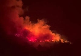 Las llamas, en el incendio declarado en Cuevas del Valle.