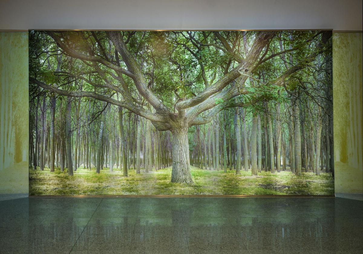 La obra 'Rastros 27', de nuevo en el hall de las Cortes.