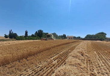 Europa autoriza que los agricultores reciban hasta el 70% de la PAC en octubre
