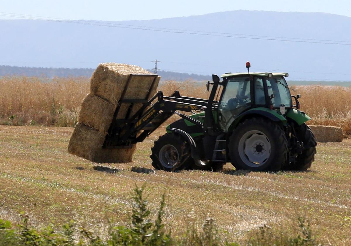Un tractor deposita varias balas de paja en un campo cerca de Segovia.