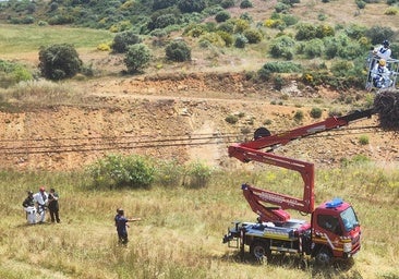 Matan a tiros a varias cigüeñas blancas en un pueblo de León