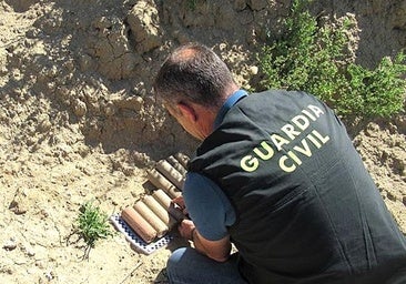 Una vecina encuentra ocho cartuchos de dinamita en su casa de Pollos