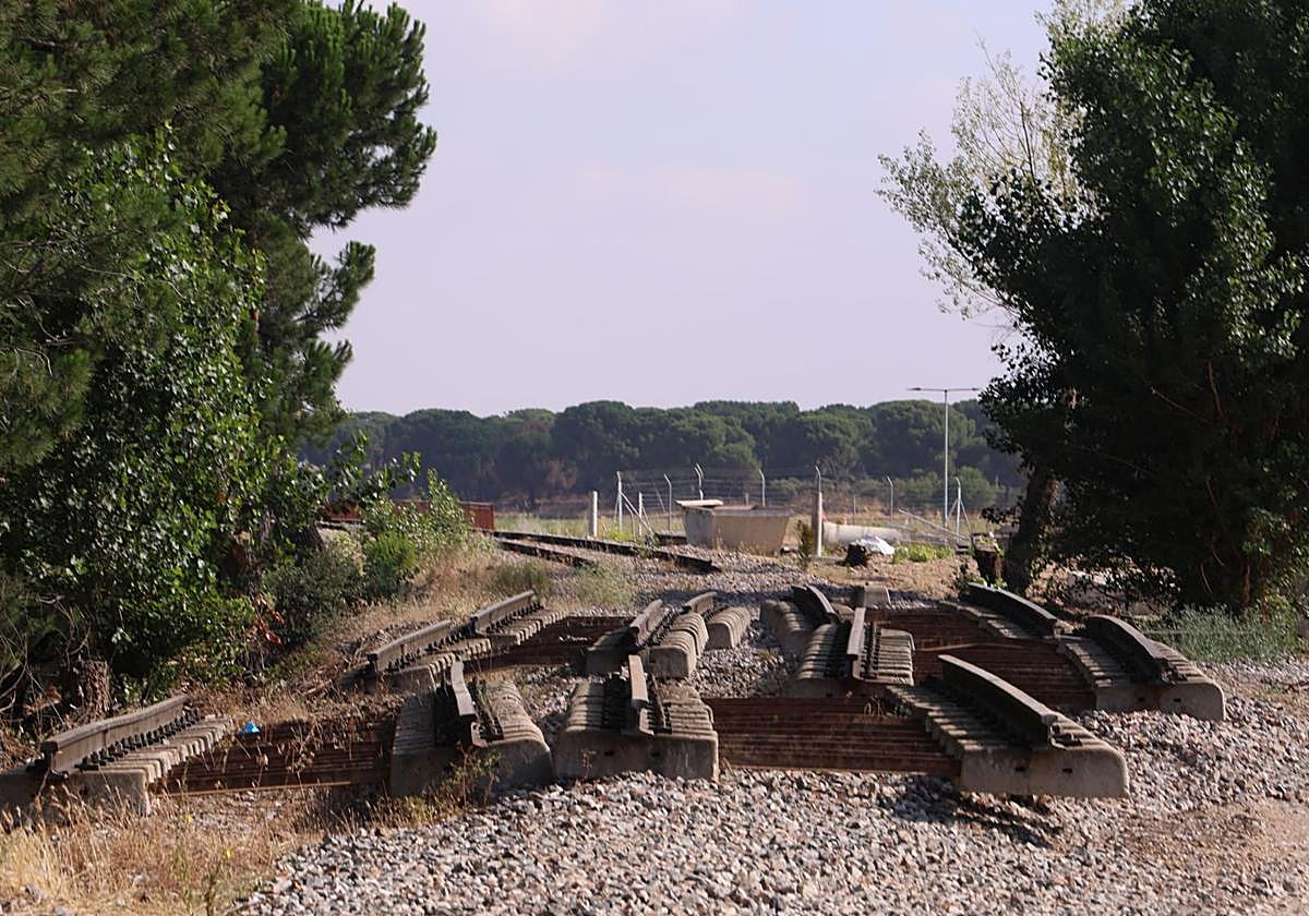 Tramos de carril y traviesas desmontados. Al fondo, el paso sobre la ronda exterior VA-30.