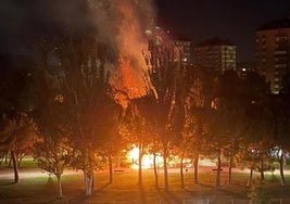 Incendio de arbustos en la calle Padre José Acosta, en la madrugada de este viernes.