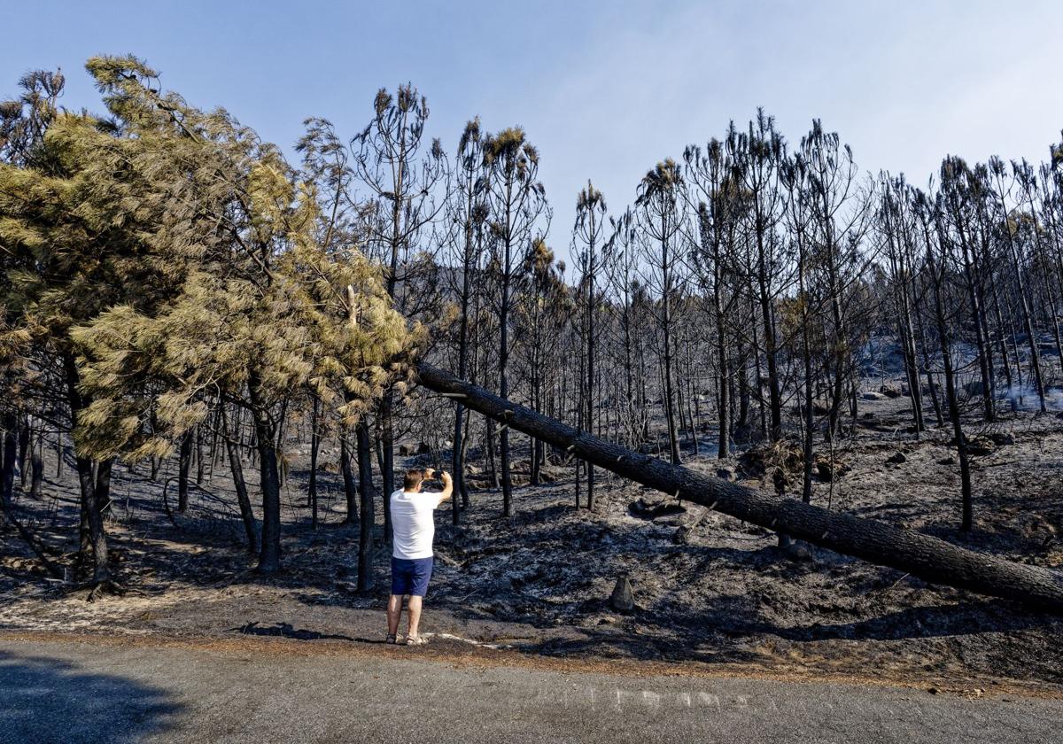 Superficie afectada por el incendio de Ávila, entre Cuevas del Valle, Mombeltrán y El Arenal.