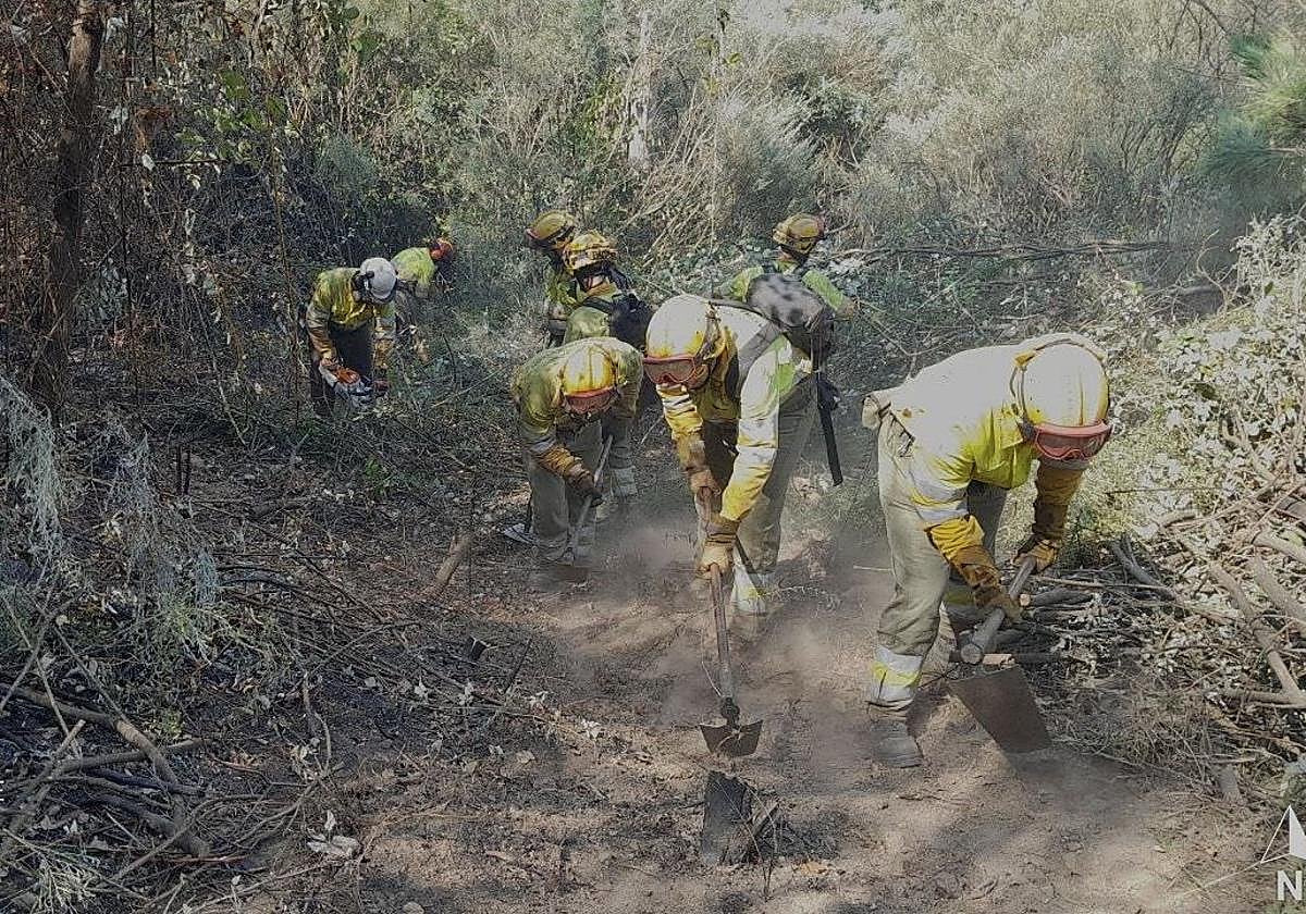Efectivos trabajan este viernes en el incendio del sur de Ávila.