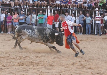 Precioso encierro en La Seca con cuatro toros de la ganadería de Los Millares